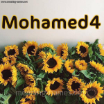 17-Mohamed4-.png