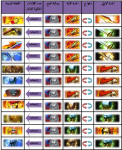 1617039956719.png